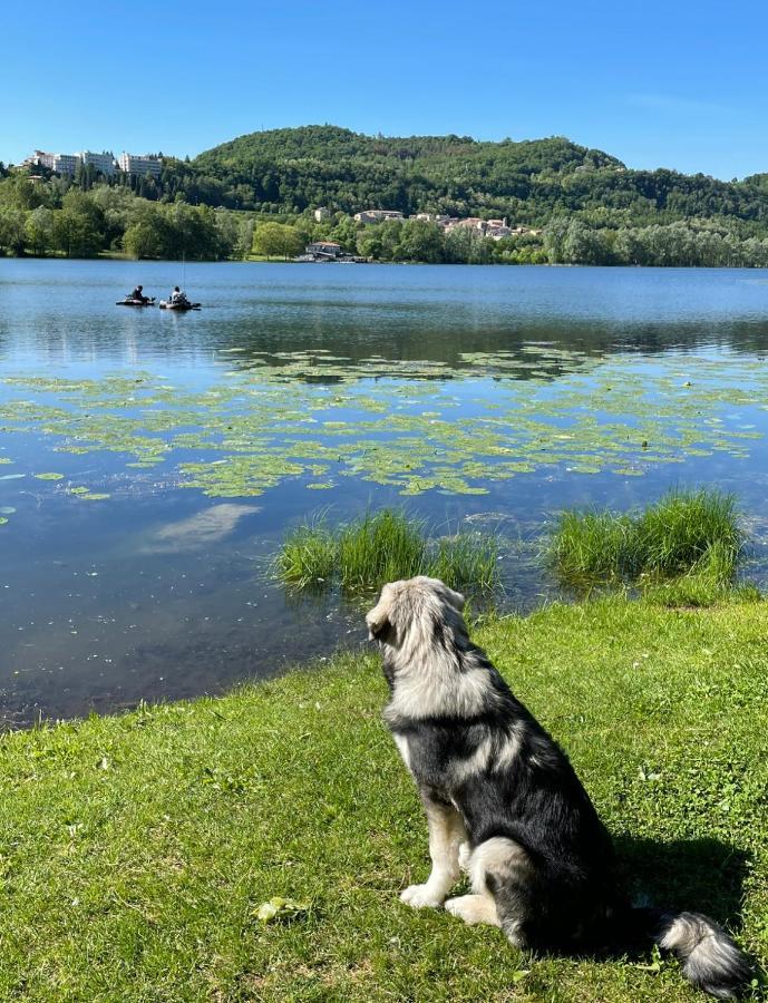 Revine Lago Altravista Tarzoヴィラ エクステリア 写真